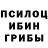 Псилоцибиновые грибы ЛСД DAVID GRIGOLASHVILI