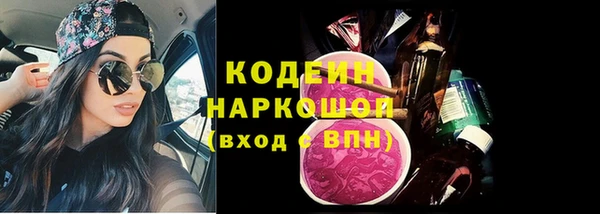 хмурый Алзамай