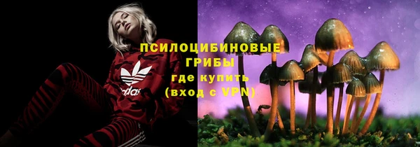 амфетамин Алексин