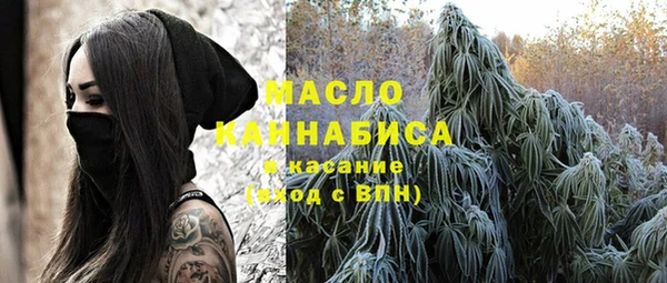 хмурый Алзамай