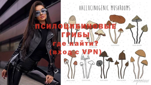 амфетамин Алексин